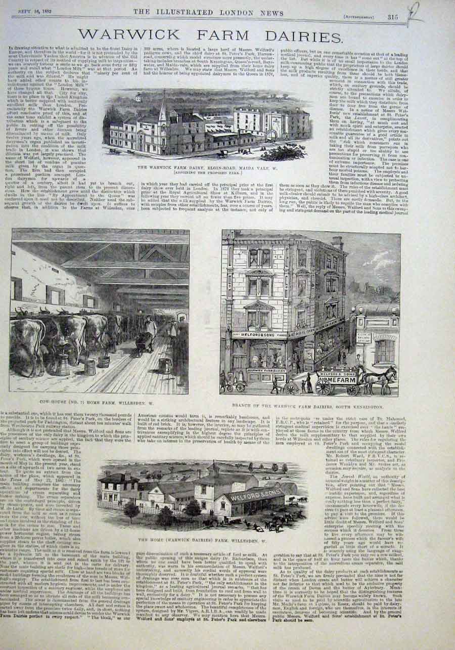 Original Old Antique Print Warick Farm Dairies1882 & Eria Artic Expedition 19th