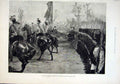 Original Old Antique Print Royal Review Brigade Guards 1882 London Victorian