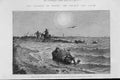 Original Old Antique Print Cause Cholera Egypt The Shore At Damietta 1883 19th