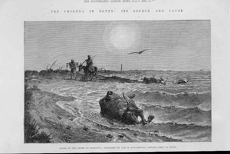 Original Old Antique Print Cause Cholera Egypt The Shore At Damietta 1883 19th