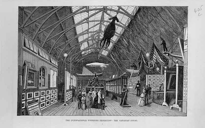 Old Antique Print Canadian Court International Fisheries Exhibition 1883 19th