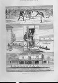 Original Old Antique Print Prince Alert Victor At Cambridge University 1883 *2