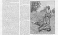 Original Old Antique Print Maharajah Tikumgurh And A Tiger 1888 19th