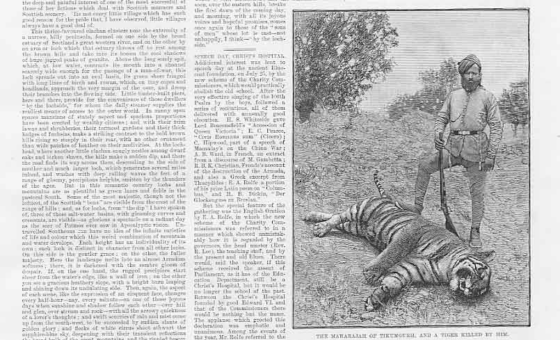 Original Old Antique Print Maharajah Tikumgurh And A Tiger 1888 19th
