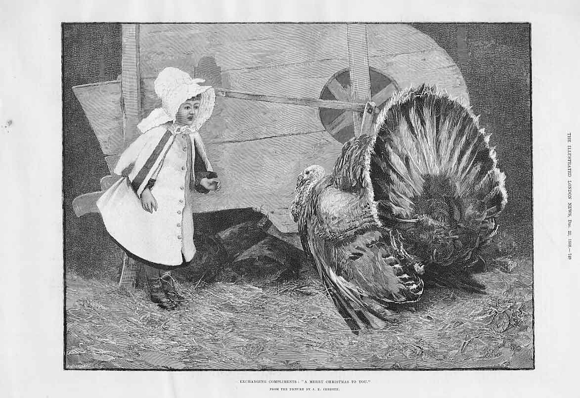 Original Old Antique Print Exchanging Compliments Merry Christmas Girl To Turkey