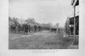 Original Old Antique Print Ladysmith Street War Time South Africa