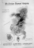 Original Old Antique Print Pearls Parisan Diamond Co Burlington Arcade *5