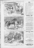 Original Old Antique Print Ellermans For Show Horse Advertisment 1890 Victorian