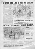 Original Old Antique Print Ellermans For Hunters & Horse Advertisment *3