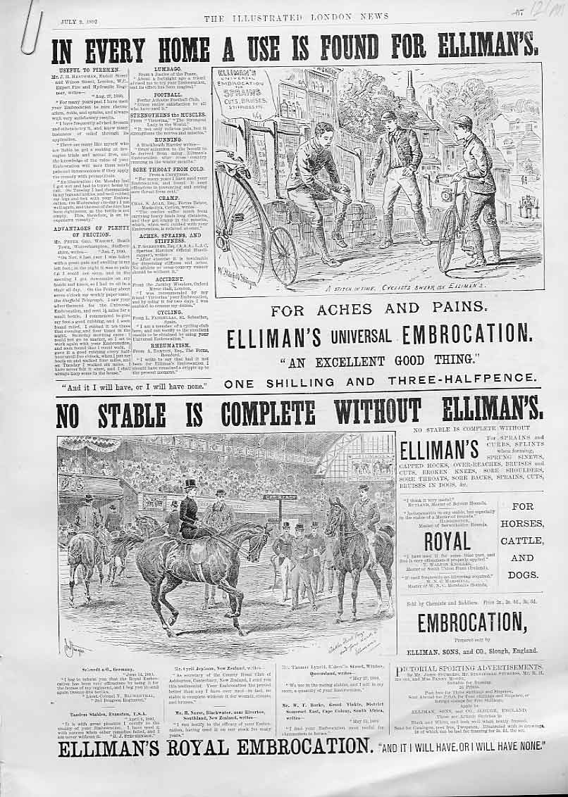 Original Old Antique Print Ellermans For Hunters & Horse Advertisment *3