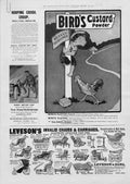 Original Old Antique Print Birds Custard Powder Advertisment 1905 20th Century