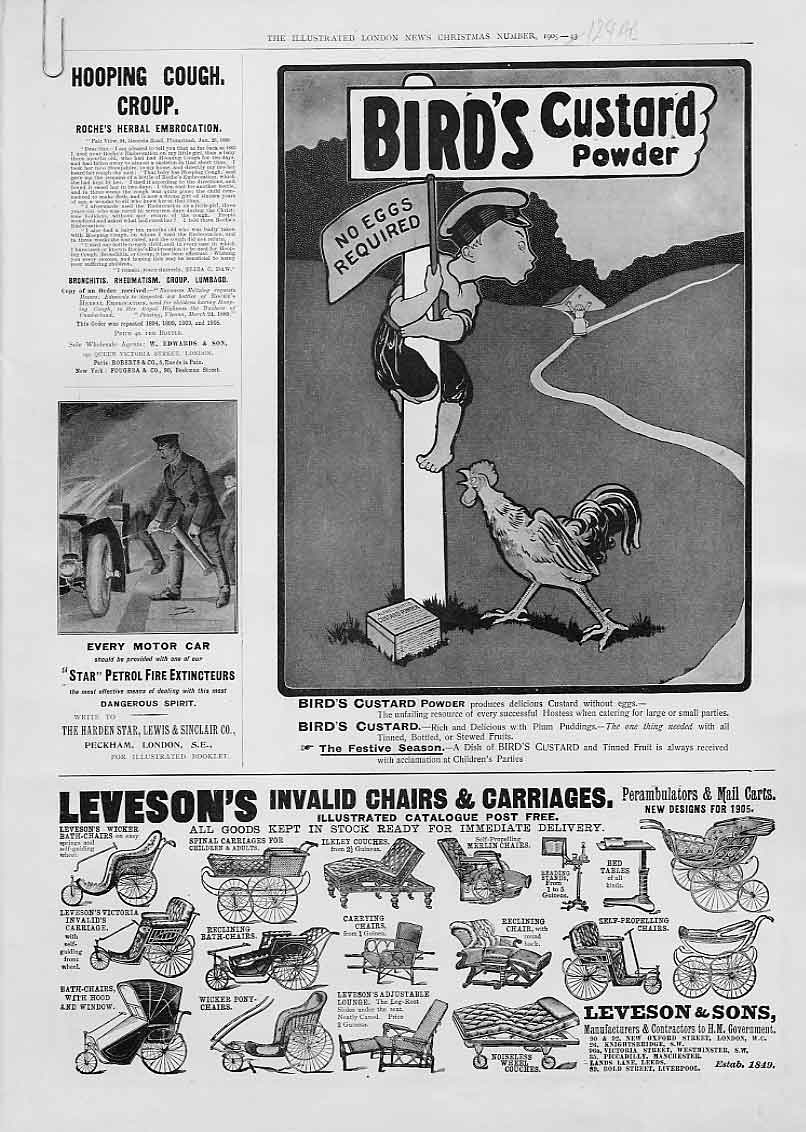 Original Old Antique Print Birds Custard Powder Advertisment 1905 20th Century