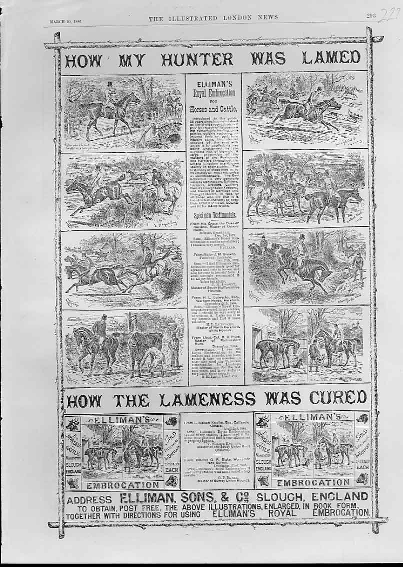 Original Old Antique Print Lame Hunter Advertisment Ellimans Embrocation