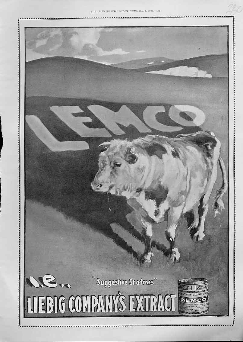 Original Old Antique Print Lemco Cows Suggestive Shadow Advertisment 1900 20th