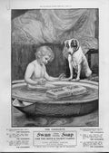 Original Old Antique Print Swan Soap Advertisment Boy With Puppy Dog 1900 20th