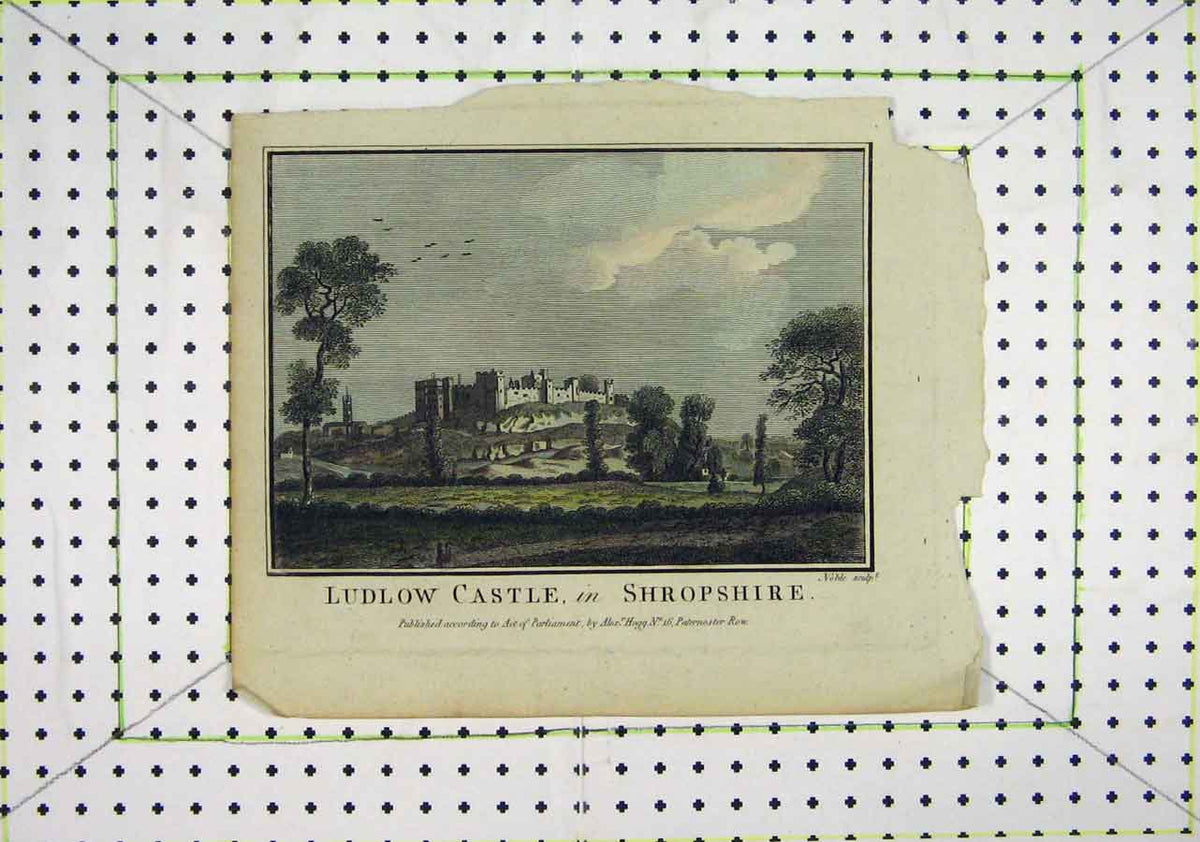 Original Old Antique Print Colour View Ludlow Castle Shropshire England