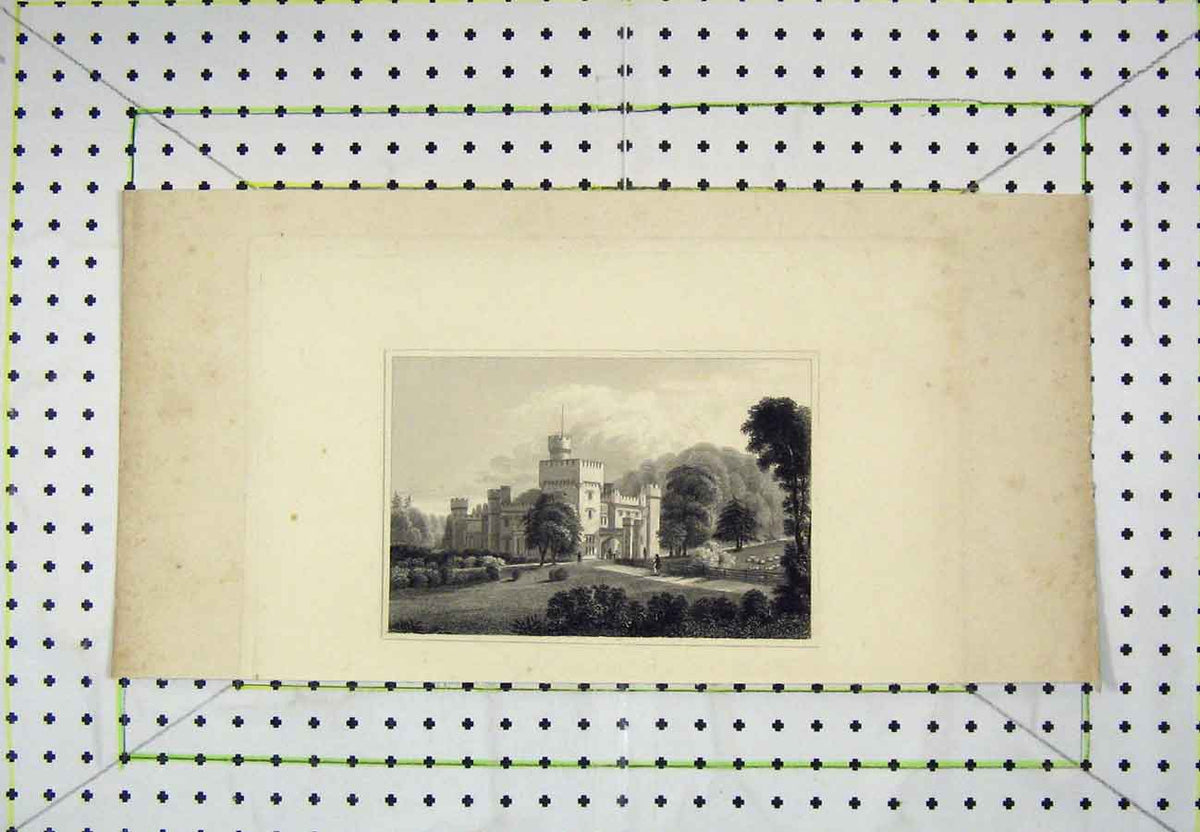 Original Old Antique Print Mansion House Castle Country Garden Scene