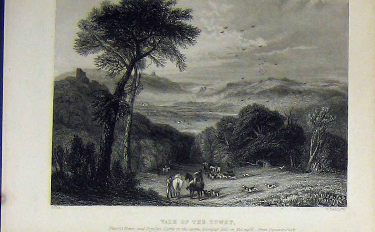 Old Antique Print C1850 View Vale Towey Nelson Tower Castle Grongar Hill 19th