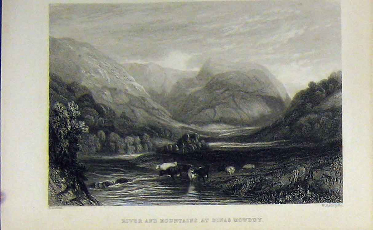 Original Old Antique Print View River Mountains Dinas Mowddy C1850 Radclyffe