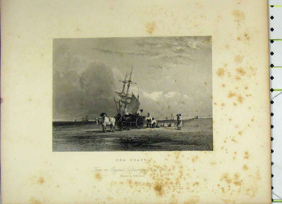 Original Old Antique Print C1850 View Sea Coast Horse Cart Basket Engraving