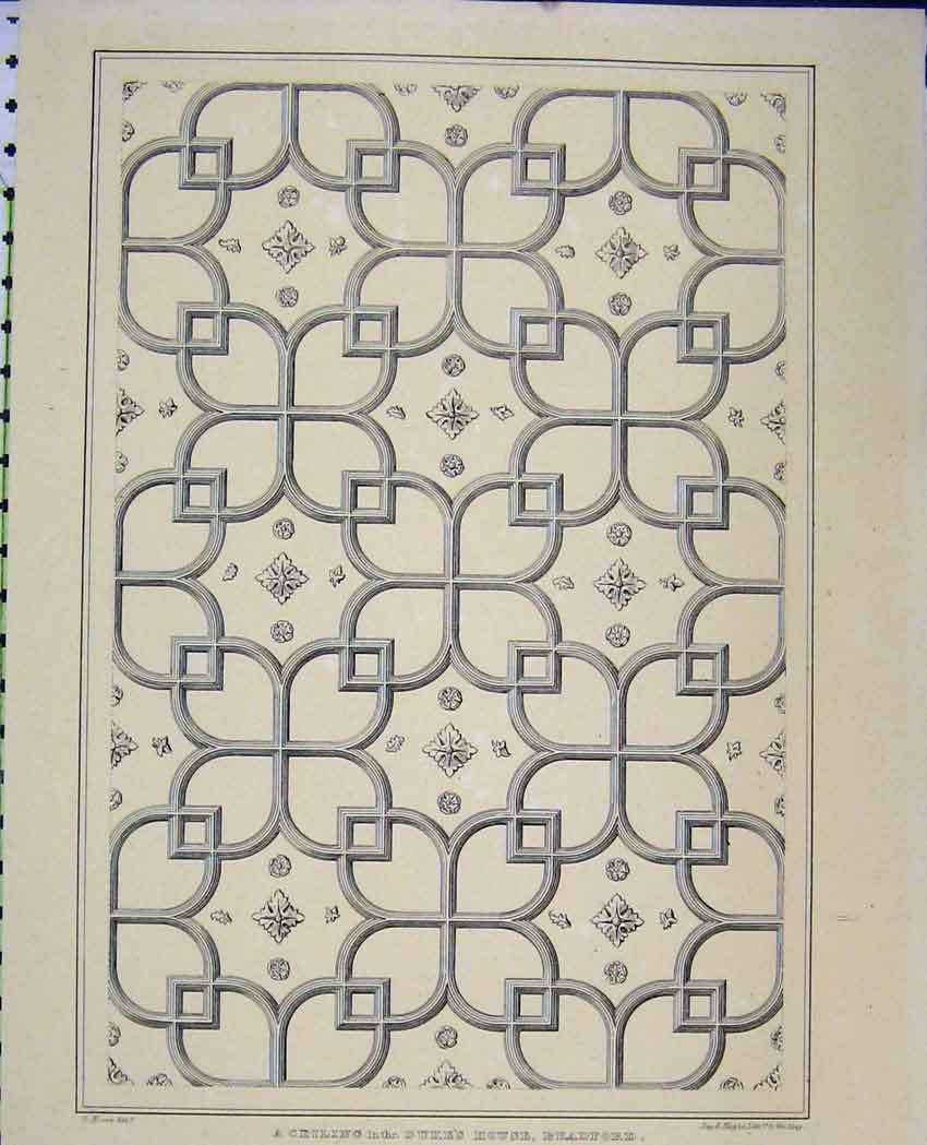 Original Old Antique Print Design C1850 Ceiling Duke'S House Bradford Pattern