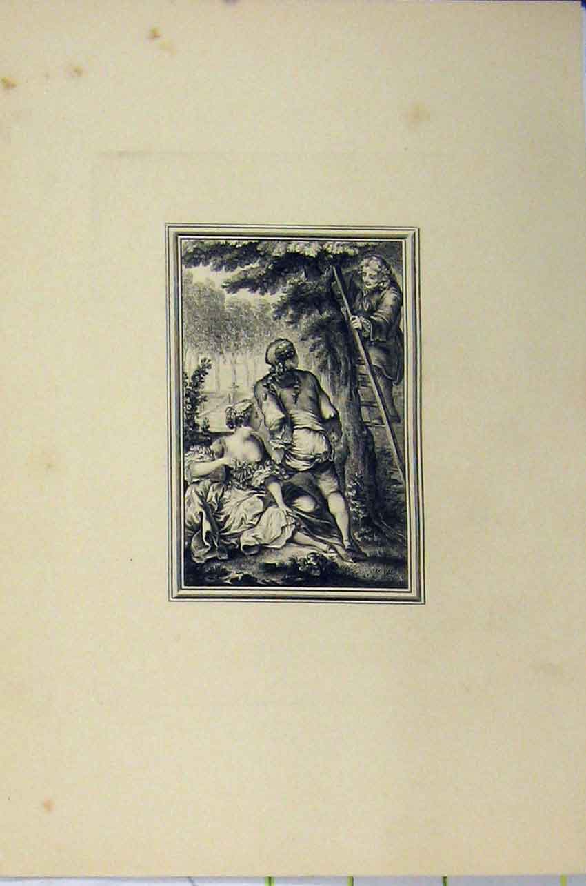 Old Antique Print Steel Engraving C1850 Man Climbing Tree Ladder Romance 19th