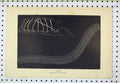 Original Old Antique Print Ascidians Solitary Salpa Chain C1850 Steel Engraving