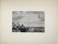 Original Old Antique Print Engraving Coast Scene Birds Bonnington