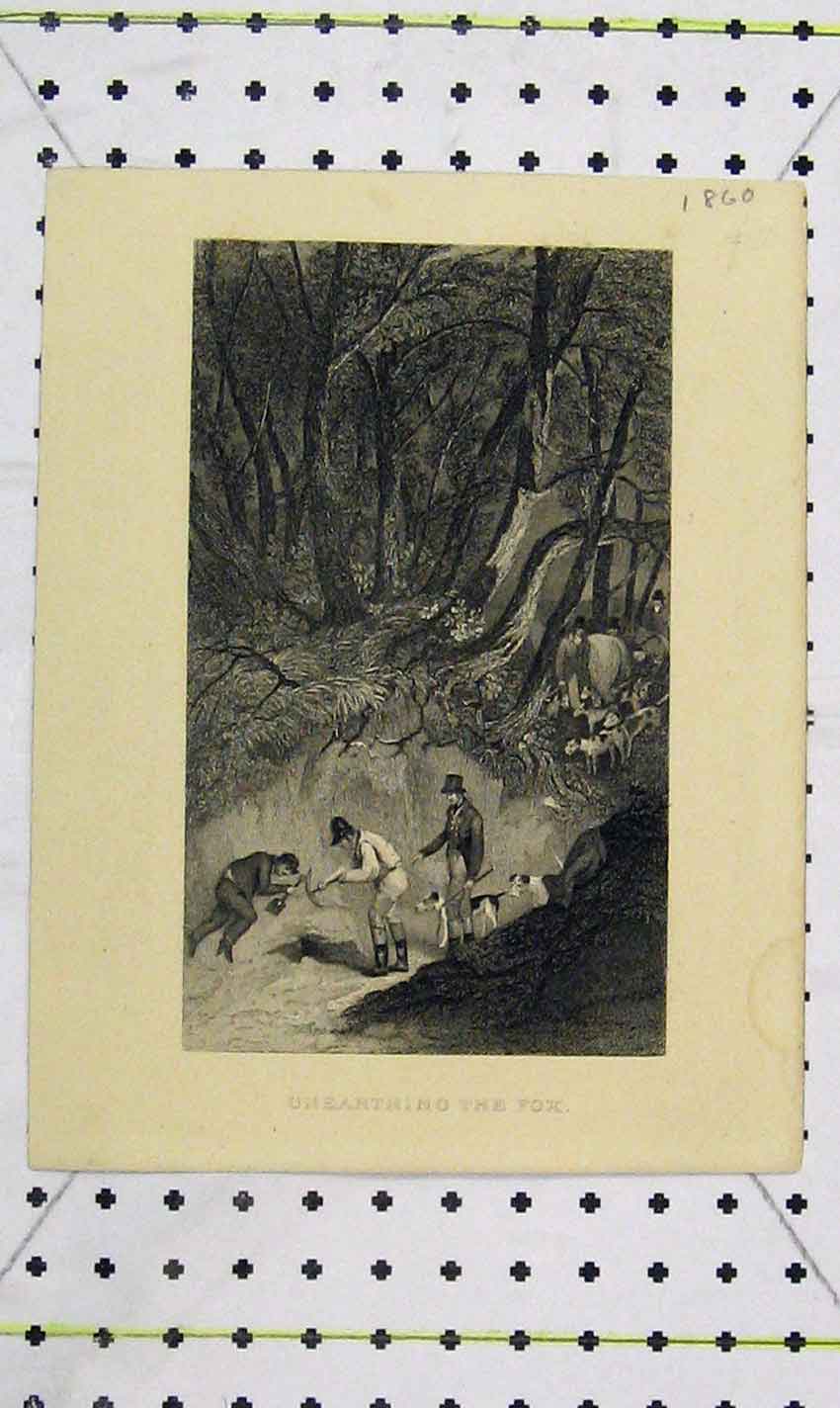 Original Old Antique Print Unearthing Fox Hunting Men Hounds Dogs Country Scene