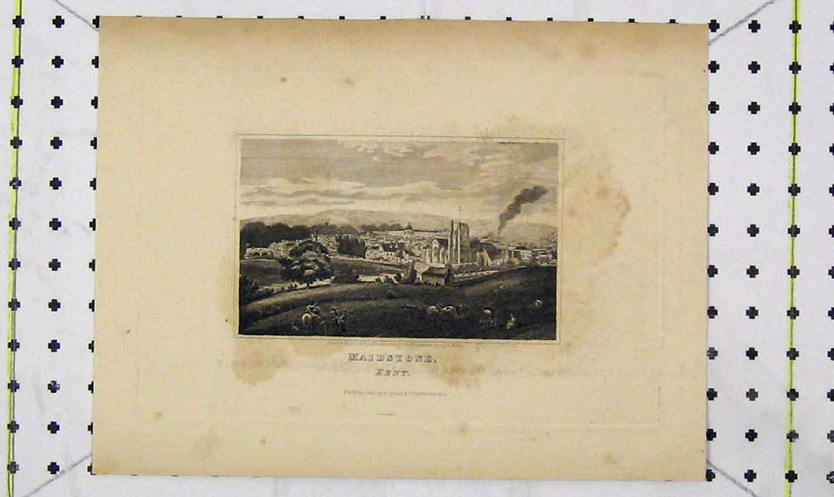 Original Old Antique Print 1820 View Town Maidstone Kent England Hawksworth