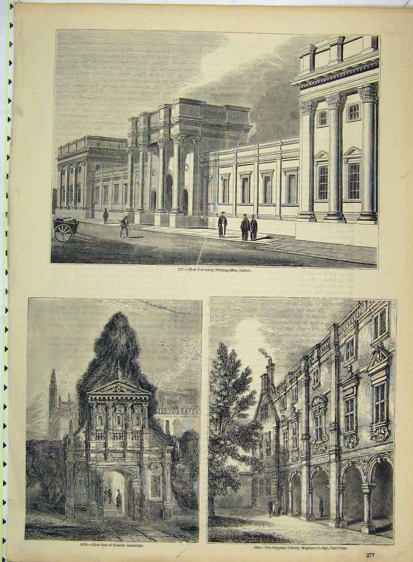 Original Old Antique Print University Ing Oxford Pepysian Library Cambridge