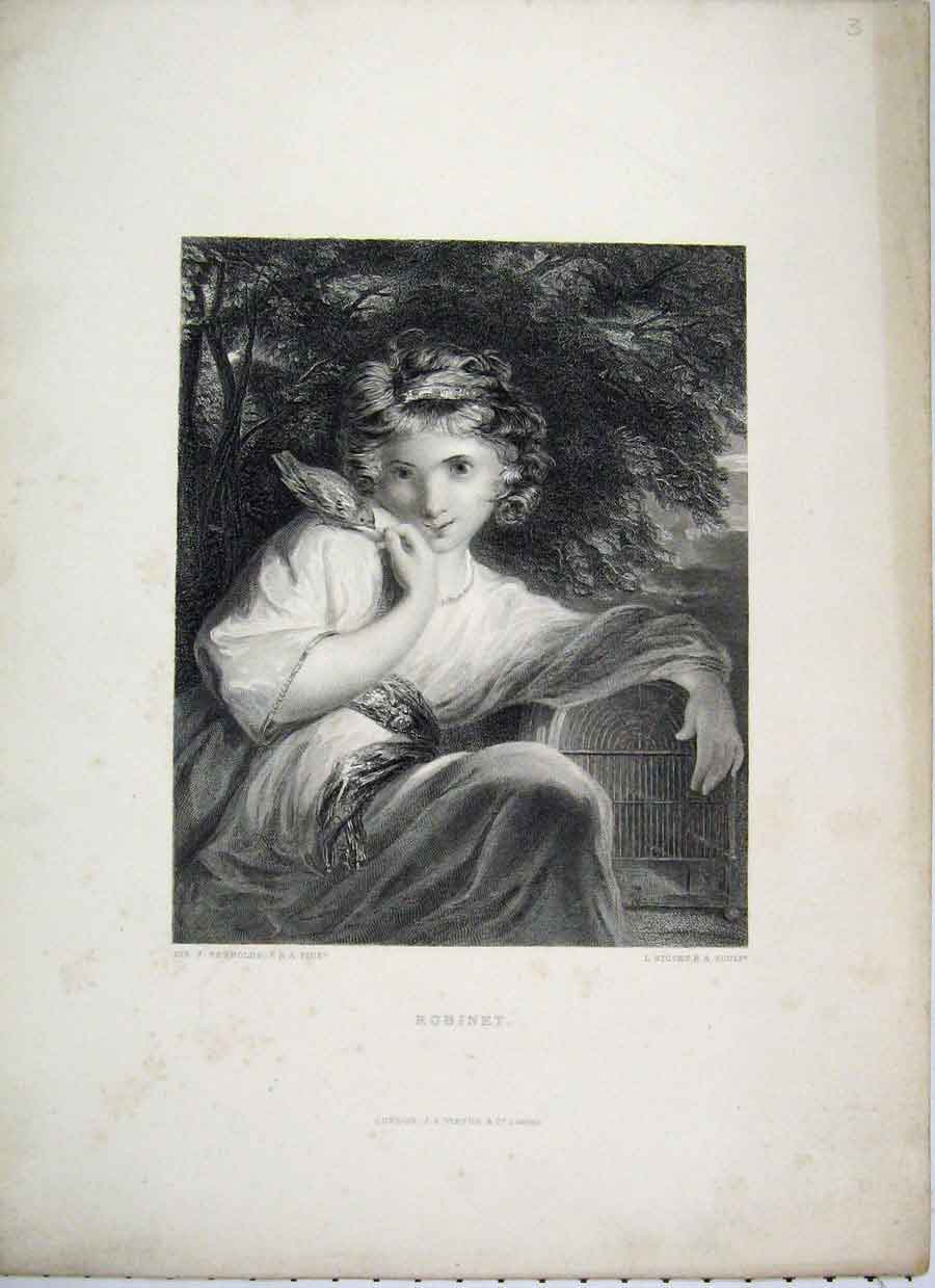 Original Old Antique Print Robinet Portrait Little Girl Bird Stocks