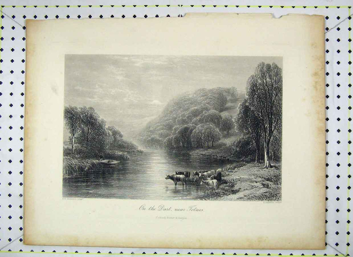 Original Old Antique Print View Dart Totnes Country Scene Heawood