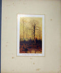 Original Old Antique Print Ref.358 Christmas New Year Cards C1880 Scrapbook