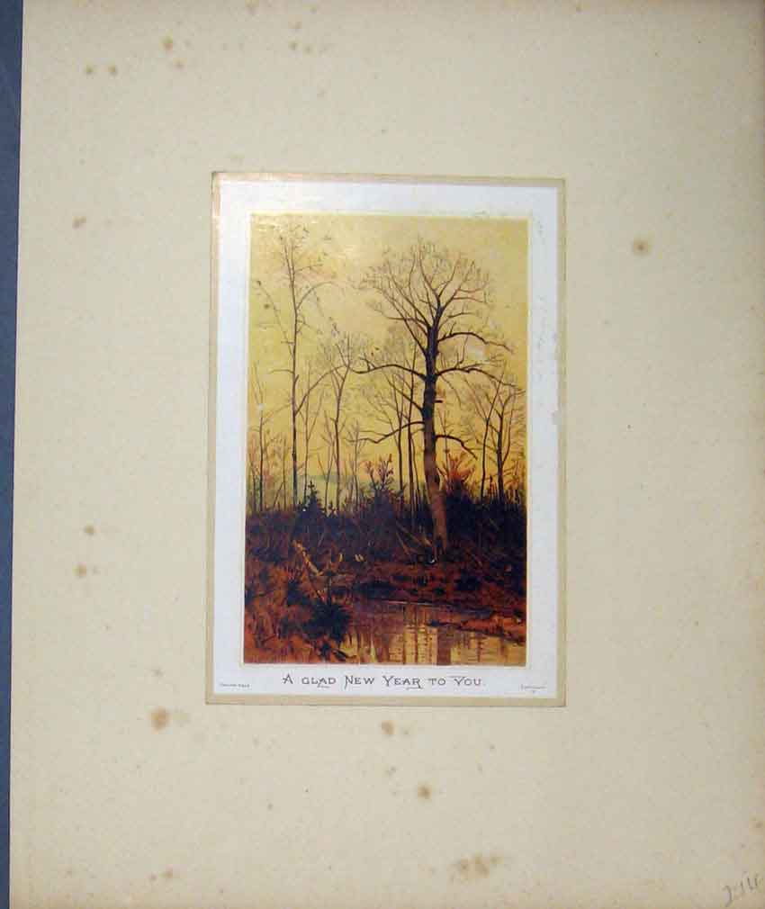 Original Old Antique Print Ref.358 Christmas New Year Cards C1880 Scrapbook