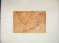 Original Old Antique Print Rubens C1875 Grand Masters Etchings Hand Fingers