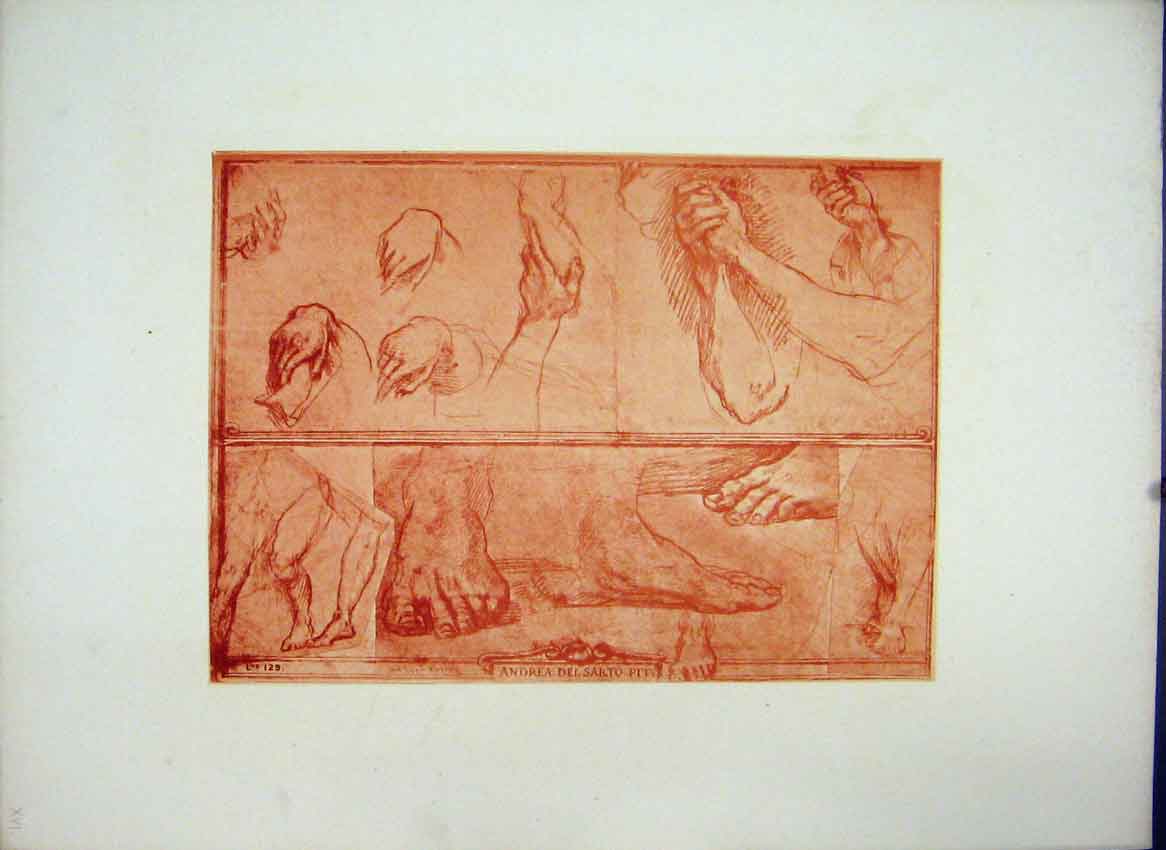 Old Antique Print Andrea Pit C1875 Grand Masters Etchings Feet Hands Arms 19th