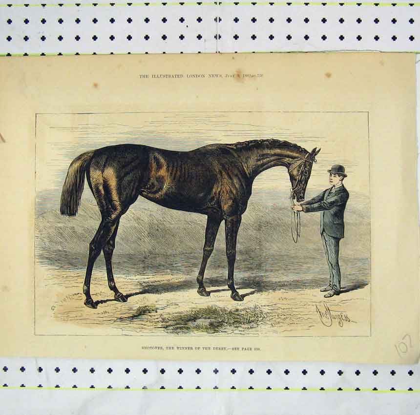 Original Old Antique Print 1882 View Shotover Horse Winner Derby 19th