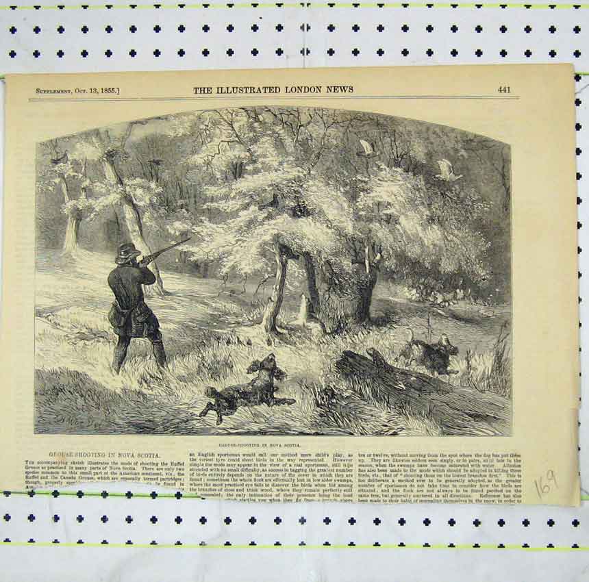 Original Old Antique Print 1855 View Grouse Shooting Nova Scotia 19th