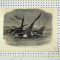 Original Old Antique Print Running Down Lord Alfred Paget'S Yacht Dover 19th