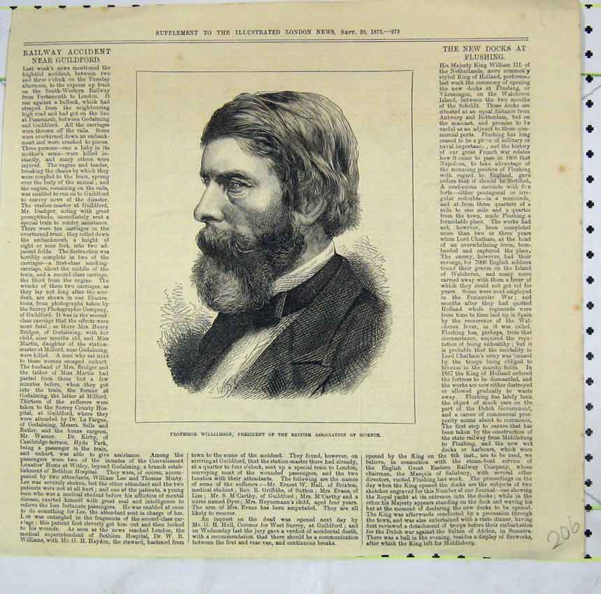 Original Old Antique Print 1873 Portrait Professor Williamson President Science
