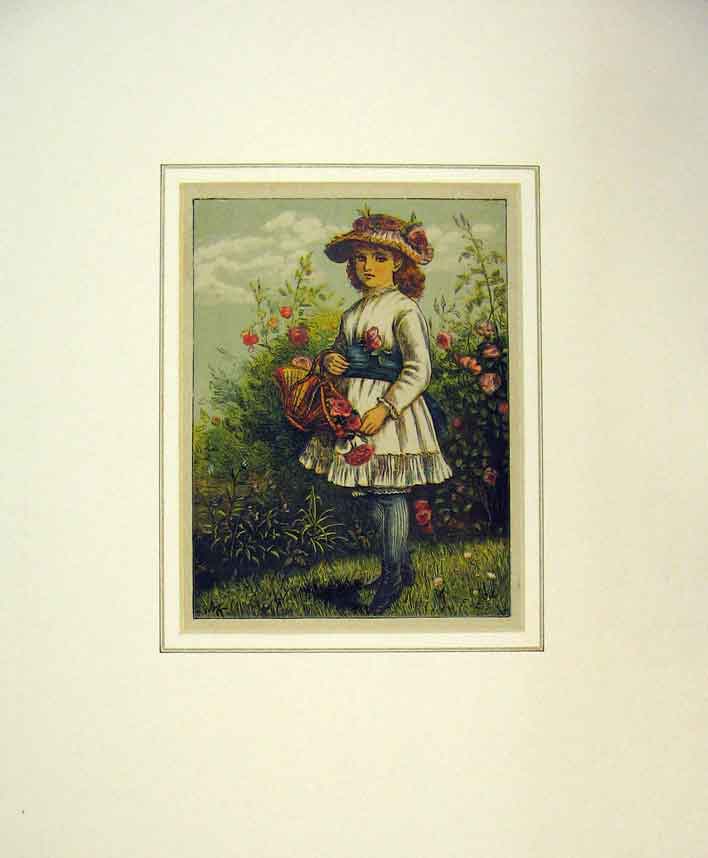 Original Old Antique Print 1882 Colour Young Girl Basket Flowers 19th