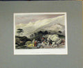 Original Old Antique Print View Cedars Labanon 1836 Hand Coloured Mountains