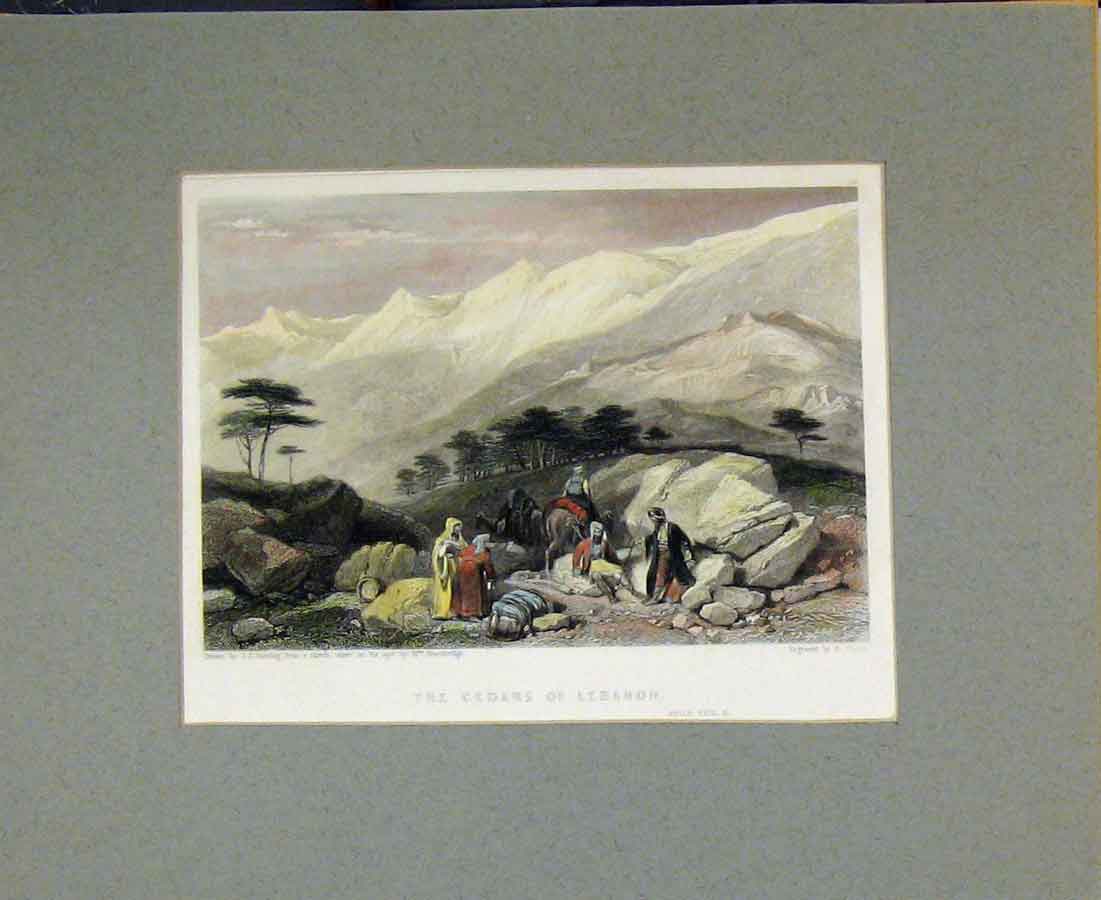 Original Old Antique Print View Cedars Labanon 1836 Hand Coloured Mountains