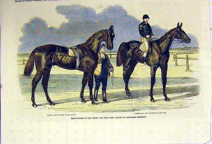 Old Antique Print Horses Winner Derby Oaks Race Musjid Summerside C1850 19th