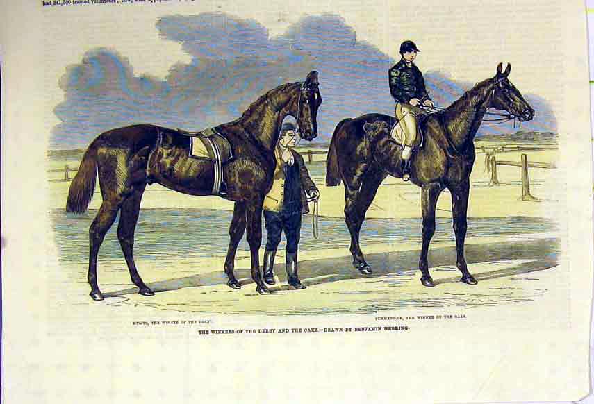 Original Old Antique Print 1857 Race Horse Fisherman Jockey Hand Coloured 19th