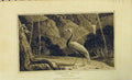Original Old Antique Print 1807 Numidian Crane Natural History Bird 19th