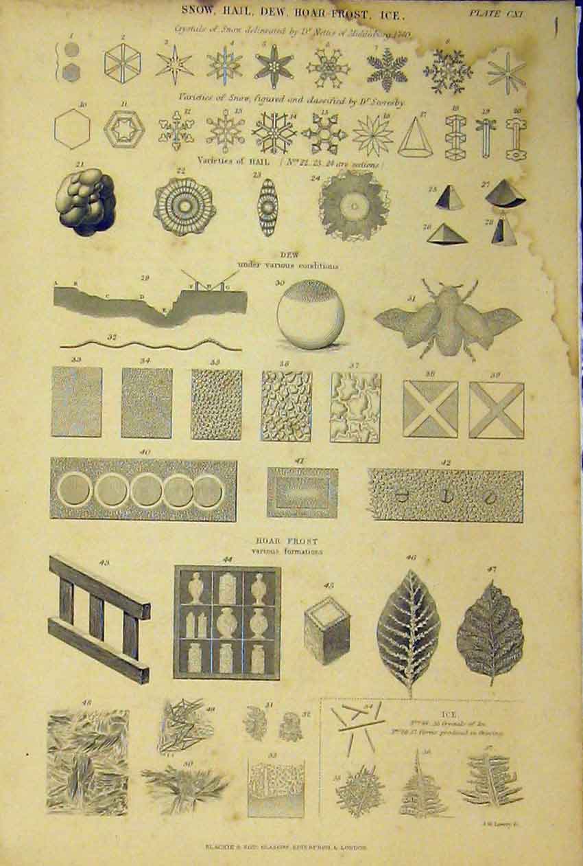 Original Old Antique Print C1860 Snow Hail Dew Hoar Frost Ice Formations 19th