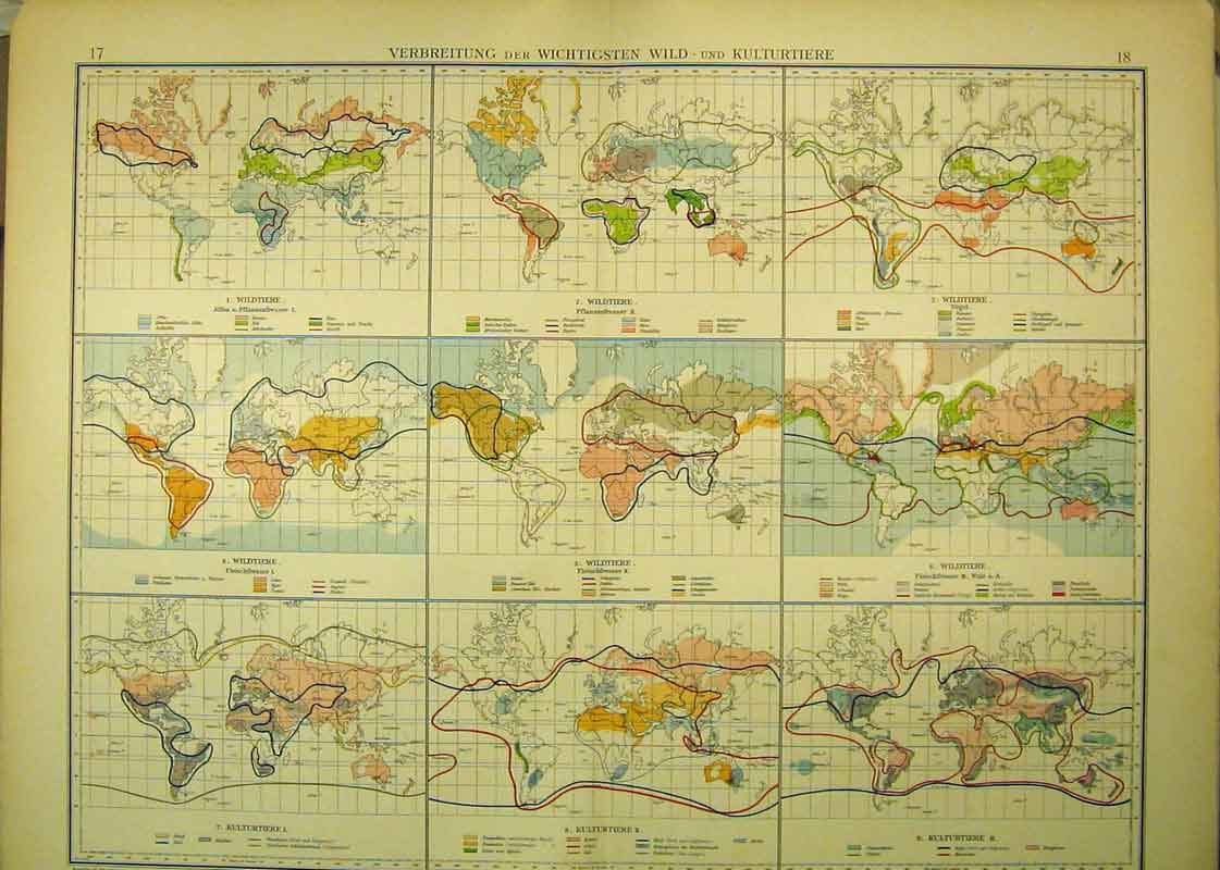 Original Old Antique Print 1910 German Map World Diagrams Industries 20th