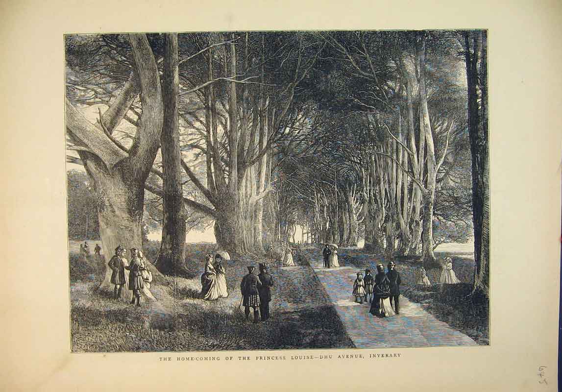 Old Antique Print 1871 Scene Princess Louise Dhu Avenue Inverary Country 19th